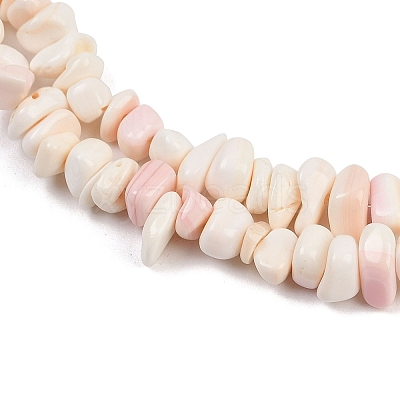 Natural Pink Shell Beads Strands SSHEL-L016-19-1