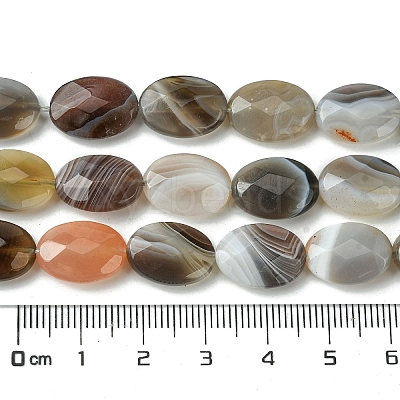 Natural Botswana Beads Strands G-H004-B02-04-1