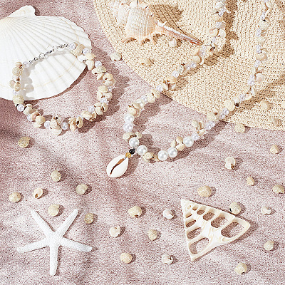 4 Strands Natural Shell Beads Strands BSHE-PH0001-37-1