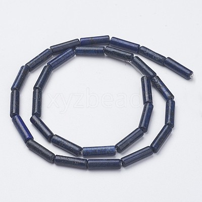 Natural Lapis Lazuli Bead Strands G-G968-F01-1