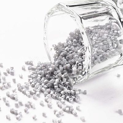 TOHO Hexagon Beads SEED-T2CUT-15-53-1