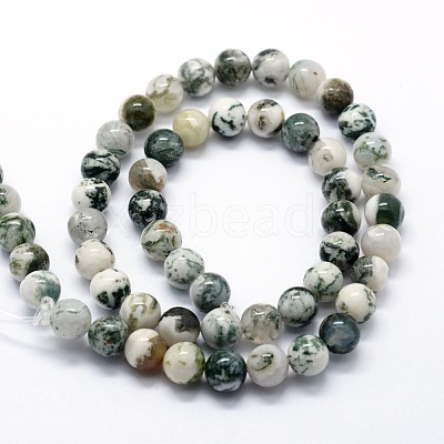 Natural Tree Agate Beads Strands X-G-I199-03-8mm-1
