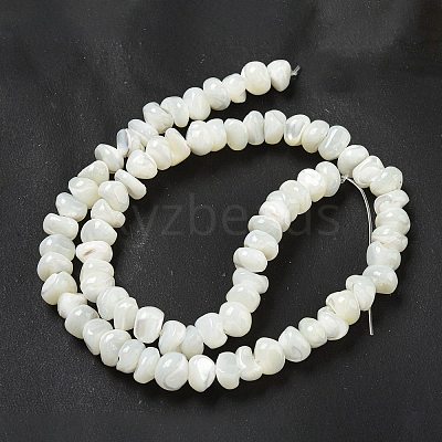 Natural Trochus Shell Beads Strands BSHE-G039-01B-1