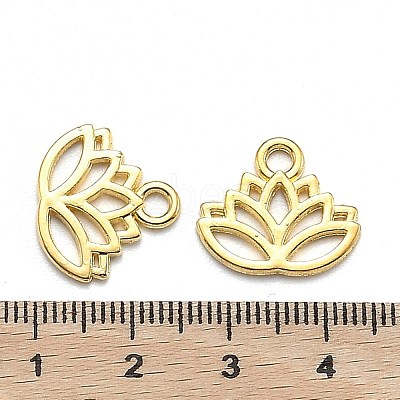 Tibetan Style Alloy Charms TIBEP-36884-G-RS-1
