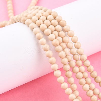 Natural Fossil Beads Strands X-G-E110-4mm-2-1