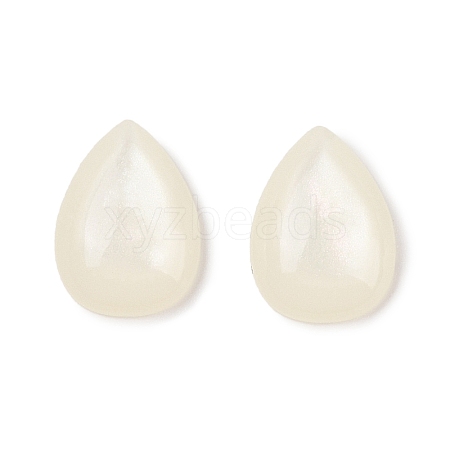 Opaque Resin Decoden Cabochons CRES-I036-15B-1