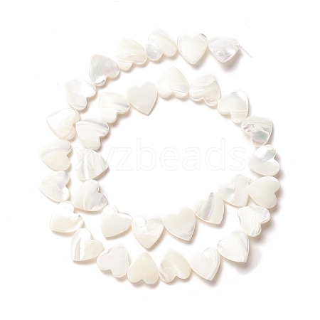 Natural Trochid Shell/Trochus Shell Beads SSHEL-O001-27C-1