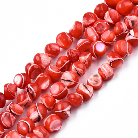 Natural Trochid Shell/Trochus Shell Beads Strands SSHEL-N032-48-A05-1