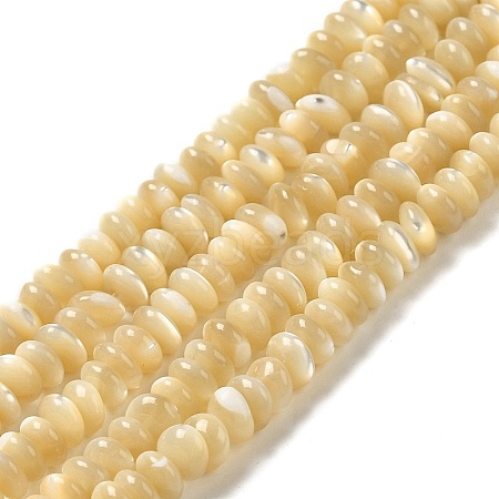 Natural Trochus Shell Beads Strands SHEL-K006-25B-1