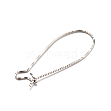Tarnish Resistant 304 Stainless Steel Hoop Earrings LS-STAS-D429-64-1