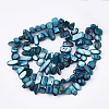 Freshwater Shell Beads Strands X-SHEL-S274-40B-2