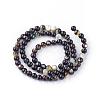 Natural Black Lip Shell Bead Strands SSHEL-Q298-02-2