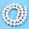 Natural Cultured Freshwater Pearl Beads Strands PEAR-N016-10A-3