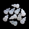 Natural Agate Pendants G-Q006-13-2