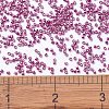 MIYUKI Delica Beads SEED-JP0008-DB1840-2