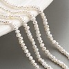 Natural Cultured Freshwater Pearl Beads Strands PEAR-C003-04C-2