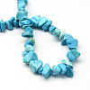 Dyed Synthetic Turquoise Stone Bead Strands G-R192-B24-2