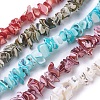 Freshwater Shell Beads Strands BSHE-L039-05-1