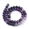 Natural Lepidolite/Purple Mica Stone Beads Strands G-K415-10mm-3