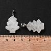 Natural Quartz Crystal Pendants G-A203-01K-P-3