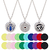3Pcs 3 Styles Stainless Steel Hollow Essential Oil Diffuser Locket Pendant Necklaces NJEW-HS0001-26C-1