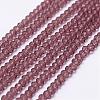 Transparent Glass Beads Strands EGLA-K010-A06-1