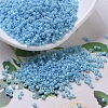 MIYUKI Delica Beads SEED-X0054-DB0215-1