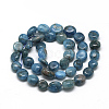 Natural Apatite Beads Strands X-G-R445-8x10-24-2