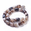 Natural Dyed Agate Beads Strands G-G775-B-10-2