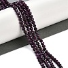 Natural Ruby Beads Strands G-P553-G01-03-2