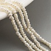 Natural Keshi Pearl Cultured Freshwater Pearl Beads Strands PEAR-C003-35-2