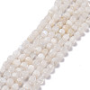 Natural Rainbow Moonstone Beads Strands G-K323-11-1