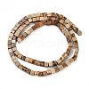 Natural Picture Jasper Beads Strands G-B129-A06-01-3