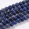 Natural Sodalite Beads Strands X-G-E110-6mm-3-1