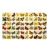 Scrapbook Paper Pad PW-WGFE689-01-1