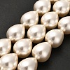 Electroplate Shell Pearl Beads Strands BSHE-G010-16x20mm-01-2