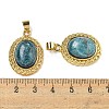 Natural Apatite Oval Pendants G-B079-02G-06-3