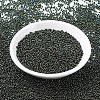 MIYUKI Round Rocailles Beads X-SEED-G007-RR0453-2