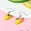 AB Color Resin Dangle Earring EJEW-FS00011-6