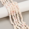 Natural Pink Shell Beads Strands SSHEL-L016-19-1