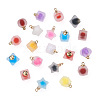 Mega Pet 80Pcs 20 Style Plastic/Resin Frosted Pendants FIND-MP0001-01-2