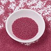 MIYUKI Delica Beads X-SEED-J020-DB0778-2