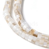 Natural Freshwater Shell Beads Strands SSHEL-C013-04A-3