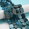 Natural Apatite Beads Strands G-Z043-A03-01-2