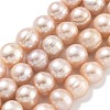 Natural Cultured Freshwater Pearl Beads Strands PEAR-C003-19E-1