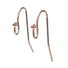 Ion Plating(IP) 316 Stainless Steel Earring Hooks STAS-E145-09RG-1