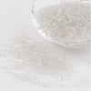 8/0 Glass Seed Beads X-SEED-A004-3mm-1-1