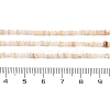 Natural Freshwater Shell Beads Strands SHEL-P017-01A-10-4