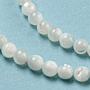 Natural Trochid Shell/Trochus Shell Beads Strands BSHE-Z005-04A-3