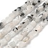 Natural Rainbow Moonstone Beads Strands G-P497-01E-56-1